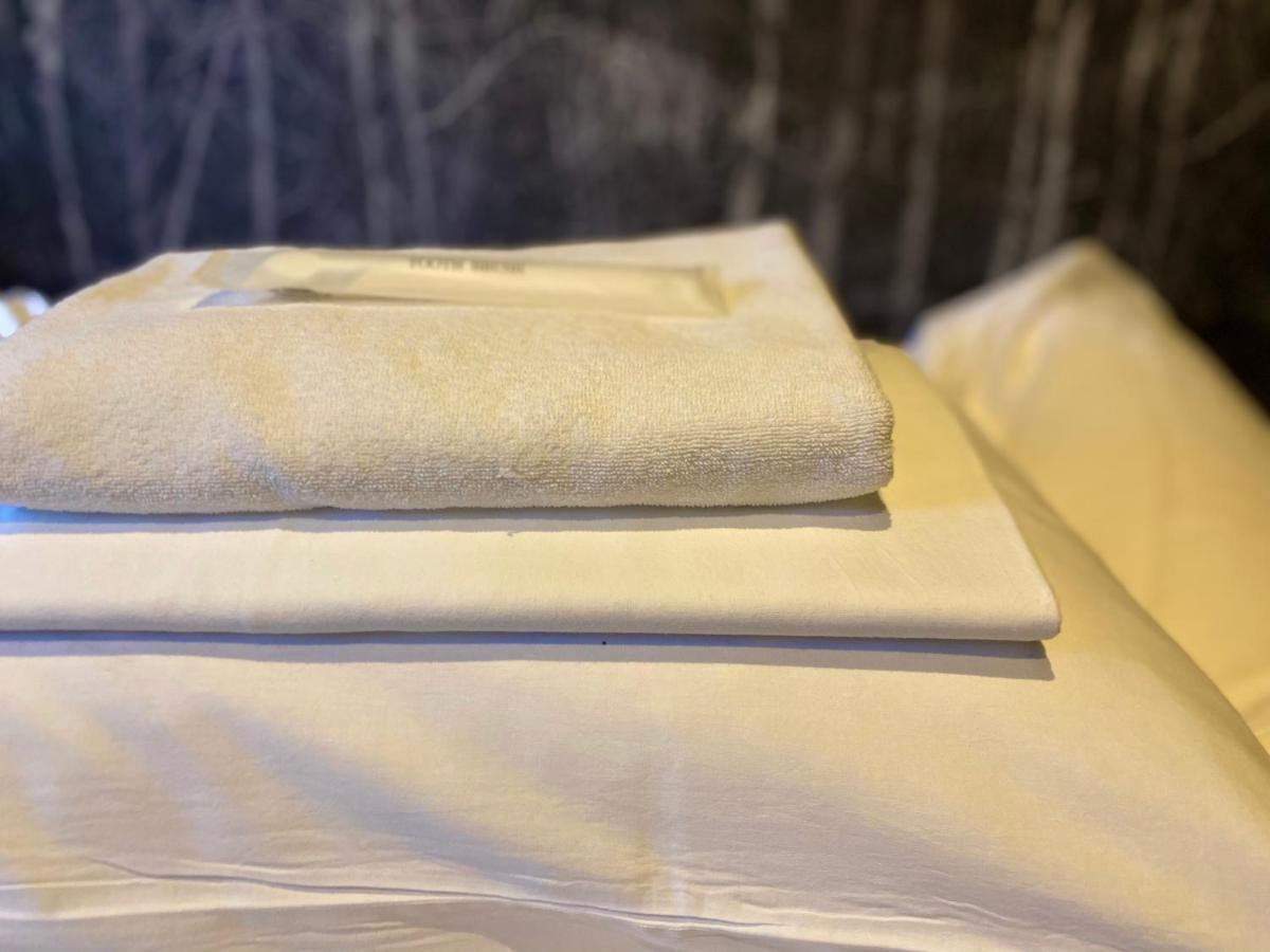 Hostel Samurise Mt Fuji Fujikawaguchiko Εξωτερικό φωτογραφία